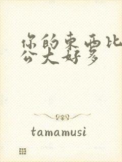 你的东西比我老公大好多