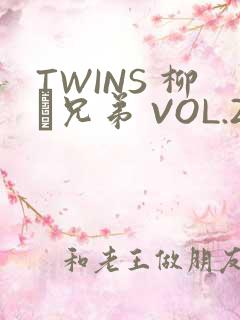 TWINS 柳澤兄弟 VOL.2
