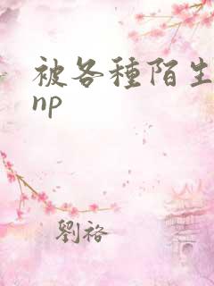 被各种陌生人 np