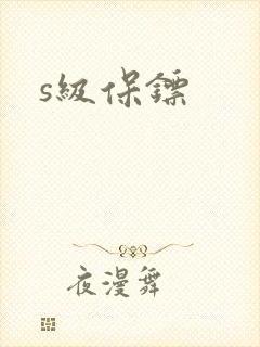 s级保镖