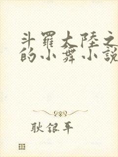 斗罗大陆之Y荡的小舞小说