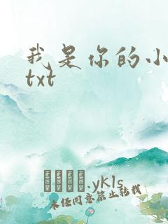 我是你的小小狗txt