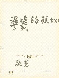 温暖的弦txt下载