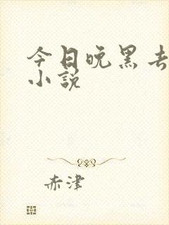 今日晚黑去见你小说