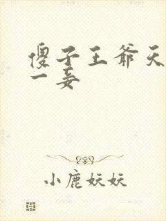 傻子王爷天下第一妾