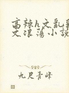 高辣h文乱乳h文浪荡小说苏媚