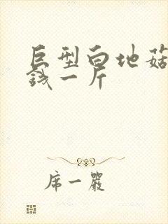 巨型白地菇多少钱一斤