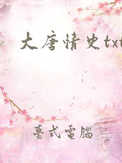 大唐情史txt