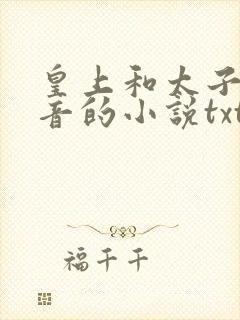 皇上和太子妃沈音的小说txt