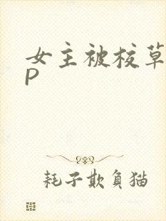 女主被校草们NP