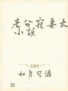 老公宠妻太甜蜜 小说