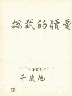 总裁的赎爱宝贝