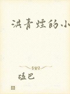 洪青烟的小说