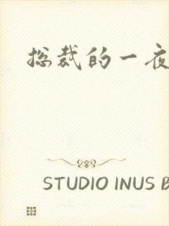 总裁的一夜情人