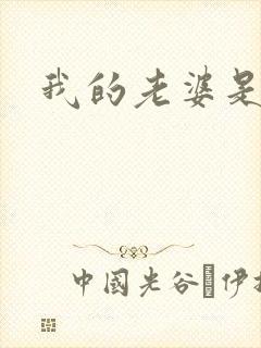 我的老婆是杀神