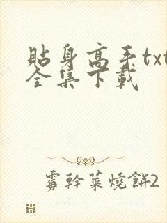 贴身高手txt全集下载