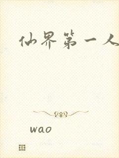 仙界第一人