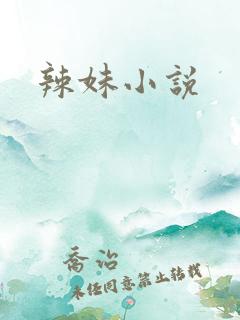 辣妹小说
