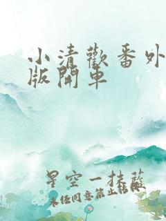 小清欢番外完整版开车