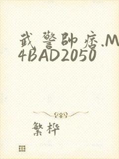 武警帅痞.MP4BAD2050