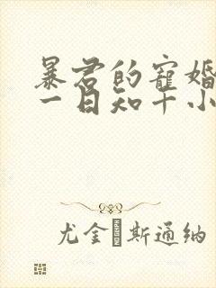 暴君的宠婚日常一日知千小说免费