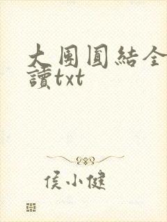大团圆结全文阅读txt