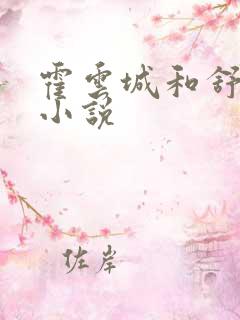 霍云城和舒情的小说