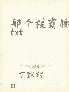 那个校霸腰好软txt