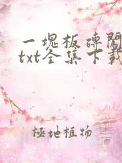 一块板砖闯仙界txt全集下载