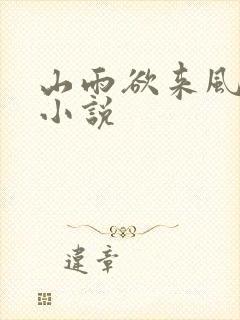 山雨欲来风满楼小说