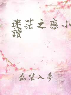 迷茫之恋小说阅读