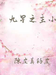 九星之主小说