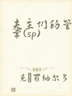 夫主们的管教日常(sp)