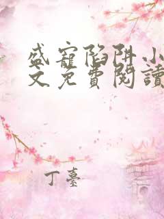 盛宠陷阱小说全文免费阅读