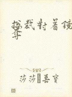 总裁对着镜子掠夺