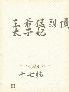 王爷猛烈顶弄H太子妃