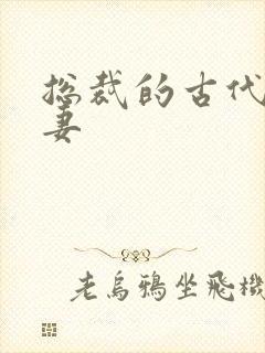 总裁的古代小娇妻