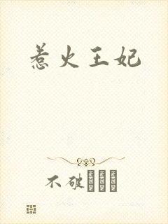 惹火王妃