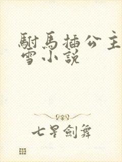 驸马插公主恋战雪小说