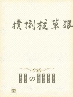 扑倒校草狠狠亲