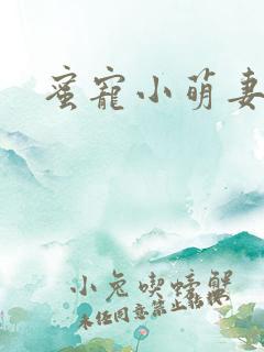 蜜宠小萌妻