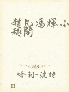 赵凡冯辉小说笔趣阁