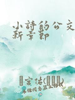 小诗的公交车最新章节