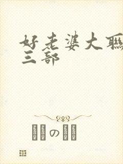 好老婆大联盟第三部