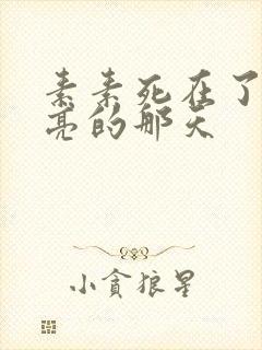 素素死在了最漂亮的那天