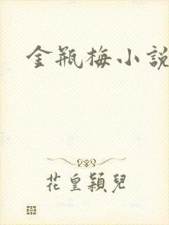 金瓶梅小说