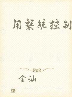 用系统控制女神