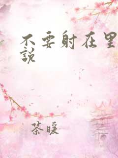 不要射在里面小说