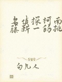 名侦探柯南给工藤新一的挑战书