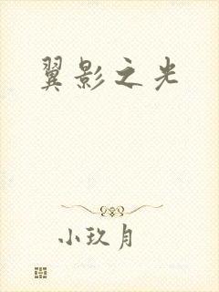 翼影之光